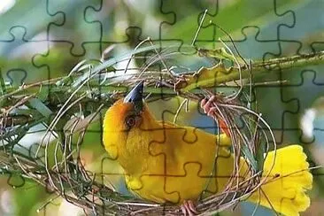 natural jigsaw puzzle