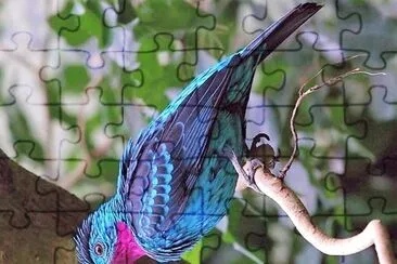 natural jigsaw puzzle
