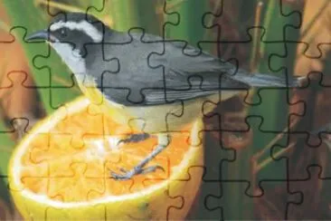 Imagem jigsaw puzzle