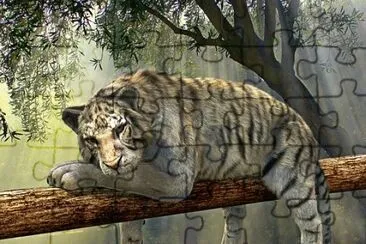 Imagem jigsaw puzzle