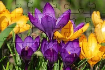 OK jigsaw puzzle