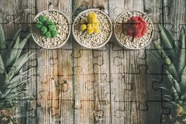 Imagem jigsaw puzzle
