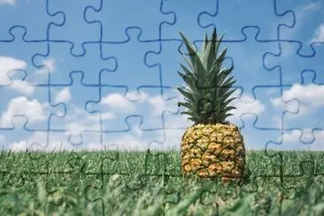 Imagem jigsaw puzzle