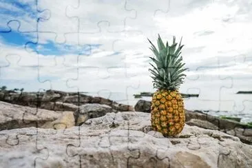 Imagem jigsaw puzzle