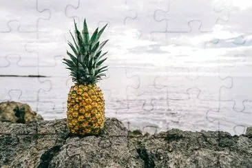 Imagem jigsaw puzzle