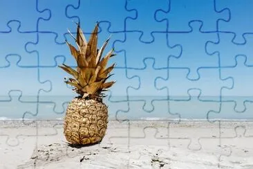 Imagem jigsaw puzzle