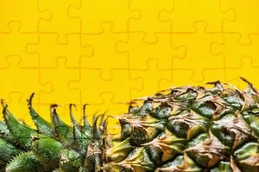 Imagem jigsaw puzzle