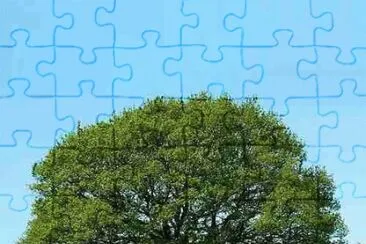 Imagem jigsaw puzzle