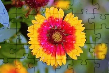 flores jigsaw puzzle
