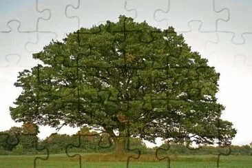 Imagem jigsaw puzzle
