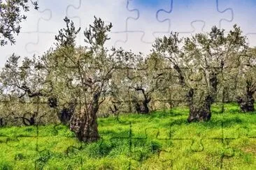 Imagem jigsaw puzzle