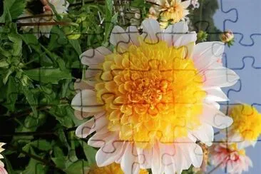 flores jigsaw puzzle