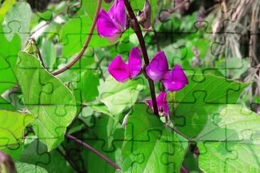 OK jigsaw puzzle