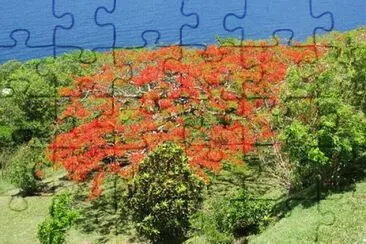 OK jigsaw puzzle