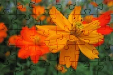 OK jigsaw puzzle