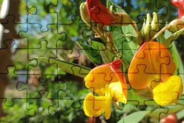 OK jigsaw puzzle