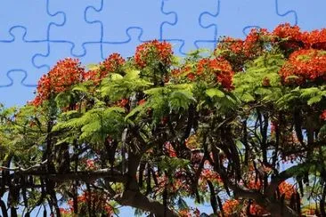 OK jigsaw puzzle