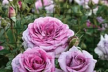 flores jigsaw puzzle