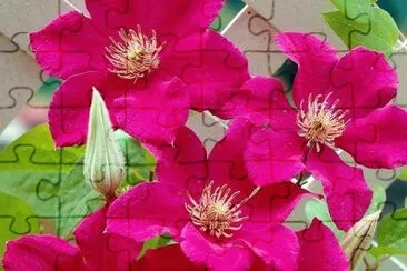 imagem jigsaw puzzle