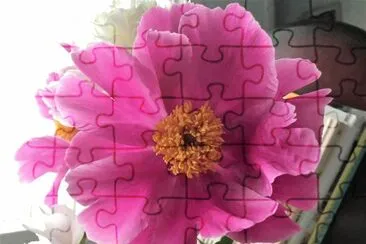 flores jigsaw puzzle
