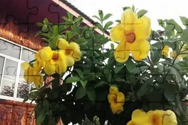 imagem jigsaw puzzle