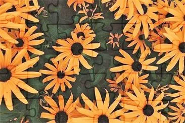 flores jigsaw puzzle