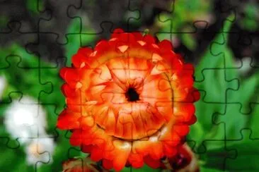OK jigsaw puzzle
