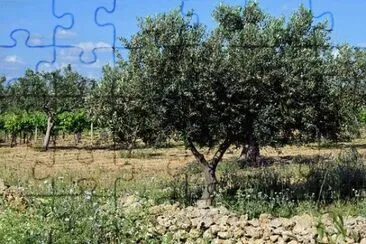 Imagem jigsaw puzzle