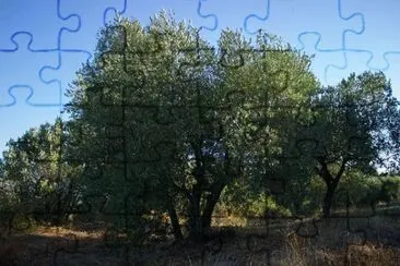 Imagem jigsaw puzzle