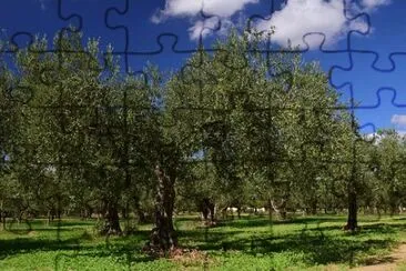 Imagem jigsaw puzzle