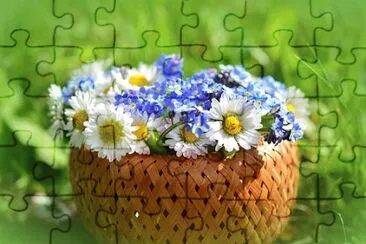 Imagem jigsaw puzzle