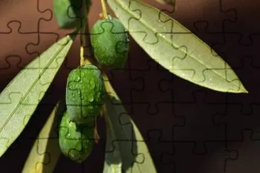 Imagem jigsaw puzzle
