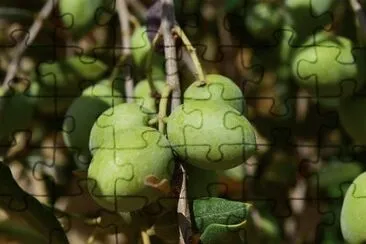 Imagem jigsaw puzzle
