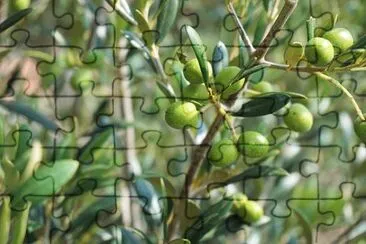 Imagem jigsaw puzzle