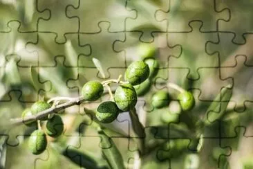 Imagem jigsaw puzzle