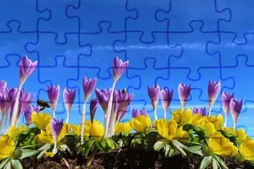 OK jigsaw puzzle