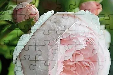 flores jigsaw puzzle