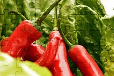 Imagem jigsaw puzzle
