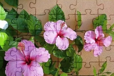 פאזל של flores