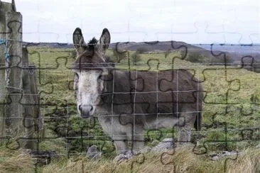 Irish jigsaw puzzle
