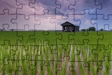 Imagem jigsaw puzzle