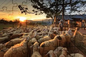 Imagem jigsaw puzzle