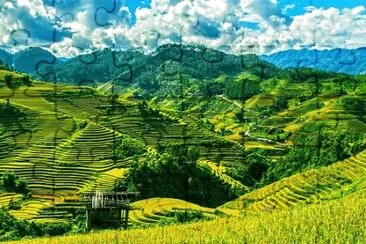 Imagem jigsaw puzzle