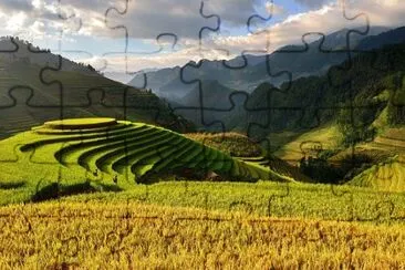 Imagem jigsaw puzzle