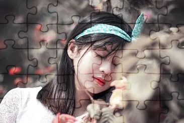 Imagem jigsaw puzzle