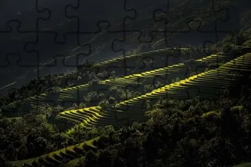 Imagem jigsaw puzzle