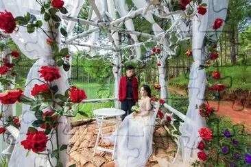 Imagem jigsaw puzzle