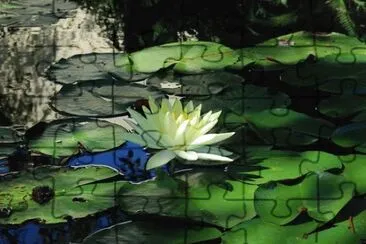 Imagem jigsaw puzzle