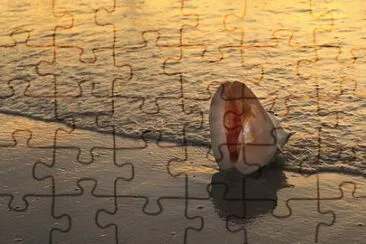 Imagem jigsaw puzzle