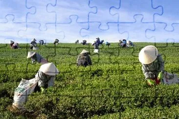 Imagem jigsaw puzzle